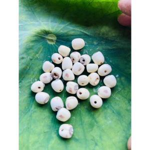 Hạt sen sấy khô thơm ngon, bùi, vị ngọt thanh 1kg - Dried lotus seeds