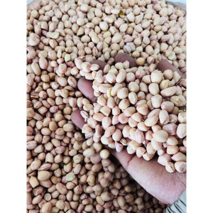 Đậu phộng sống / Đỗ lạc sống chuẩn quê, chất lượng cao 1kg - raw peanuts