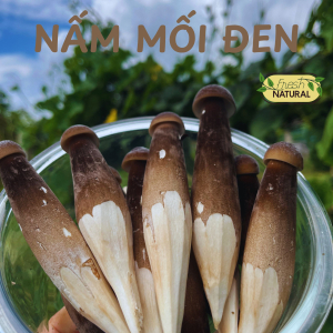 Nấm mối đen loại 1 500g - Black Termitomyces Heim