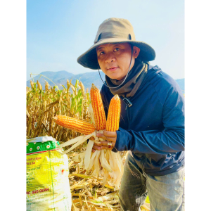 Bắp/Ngô Hạt Phơi Khô Tự Nhiên 1kg - Làm Thức Ăn Cho Chim, Gà , Vịt Hạt Bắp Chăn Nuôi - Dry corn