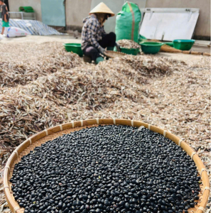 Đậu đen xanh lòng tự nhiên sản xuất thủ công 1kg - Black Beans with Green Kernels