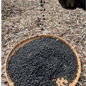 Đậu đen xanh lòng tự nhiên sản xuất thủ công 1kg - Black Beans with Green Kernels