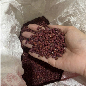 Đậu đỏ nguyên hạt tự nhiên chuẩn quê 1kg - Azuki bean