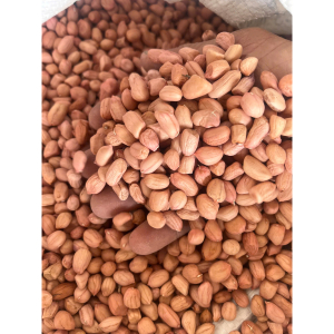 Đậu phộng sống / Đỗ lạc sống chuẩn quê, chất lượng cao 1kg - raw peanuts