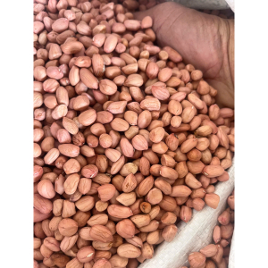 Đậu phộng sống / Đỗ lạc sống chuẩn quê, chất lượng cao 1kg - raw peanuts