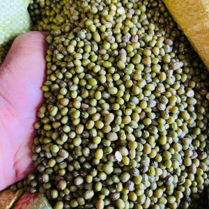 Đậu xanh nguyên hạt còn vỏ tự nhiên chuẩn quê 1kg - mung bean