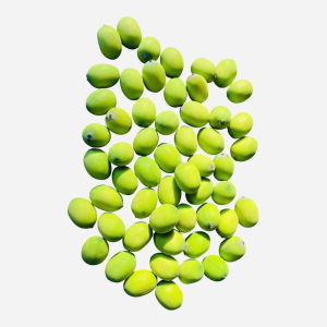 Hạt sen tươi tự nhiên BÌNH THUẬN còn vỏ, ngon, thơm bùi 1kg - fresh lotus seeds