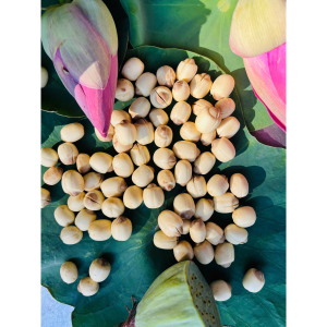 Hạt sen tươi tự nhiên BÌNH THUẬN đã làm sạch ( đã bóc vỏ, lấy tâm)  thơm bùi 1kg - fresh lotus seeds