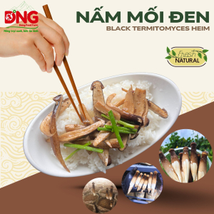 Nấm mối đen loại 2 500g - Black Termitomyces Heim